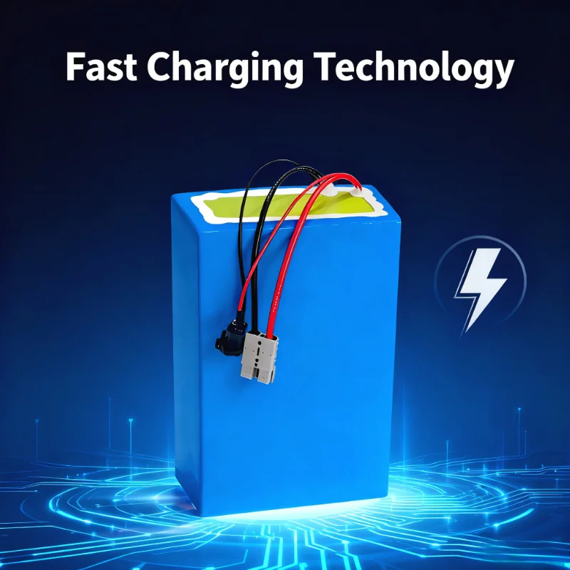 BMS 72V Lithium-Ion Battery Pa - 72V 40Ah Lifepo4 Battery Pack review and price